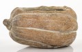 Osłonka