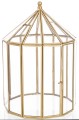 Lampion